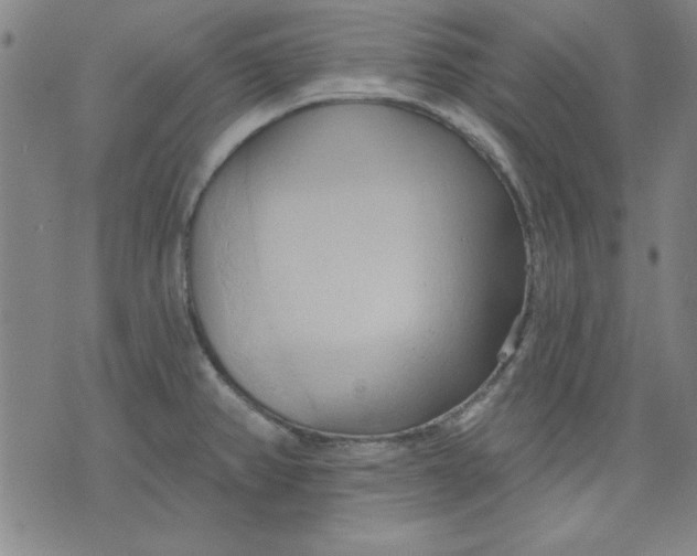 X0000076221382200610191522