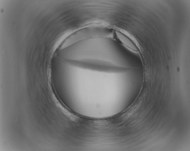 X0000076221383200610191522