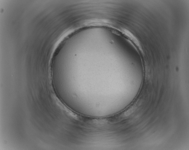 X0000076221384200610191522