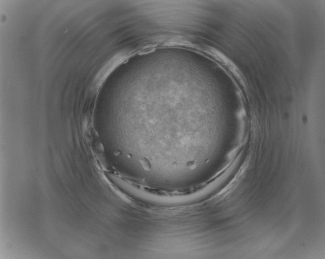 X0000076221385200610191522