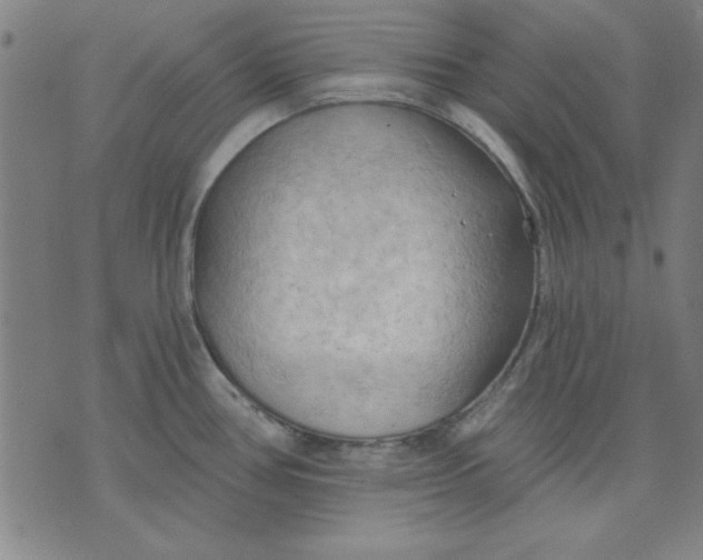 X0000076221386200610191522