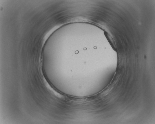 X0000076221387200610191522