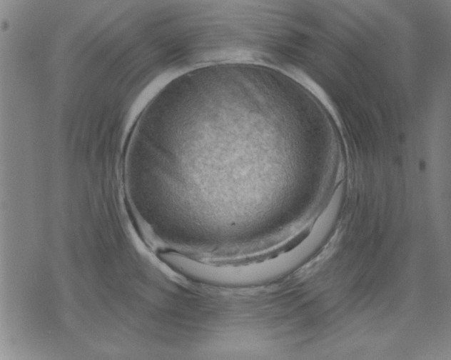 X0000076221389200610191522