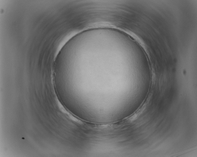 X0000076221390200610191522