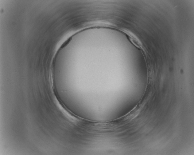 X0000076221391200610191522