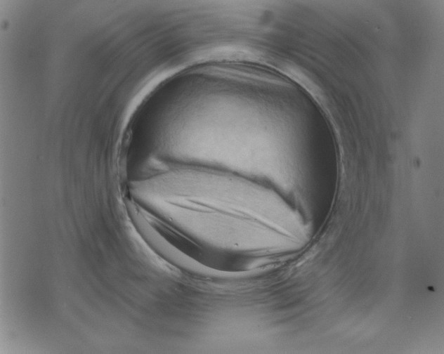 X0000076221392200610191521