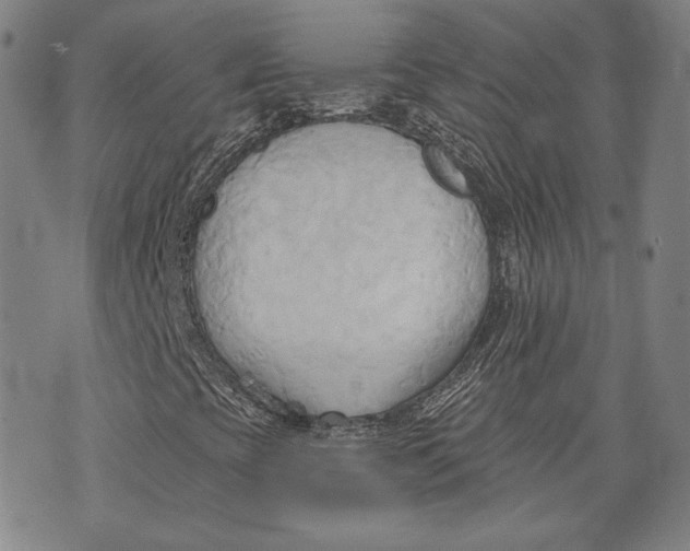 X0000076221393200610191521