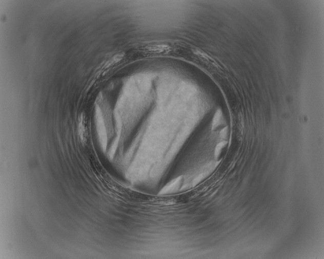 X0000076221394200610191521