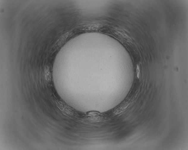 X0000076221395200610191521