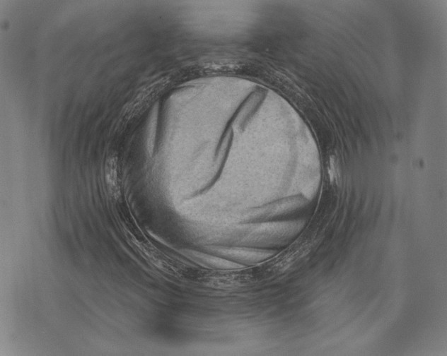 X0000076221396200610191521