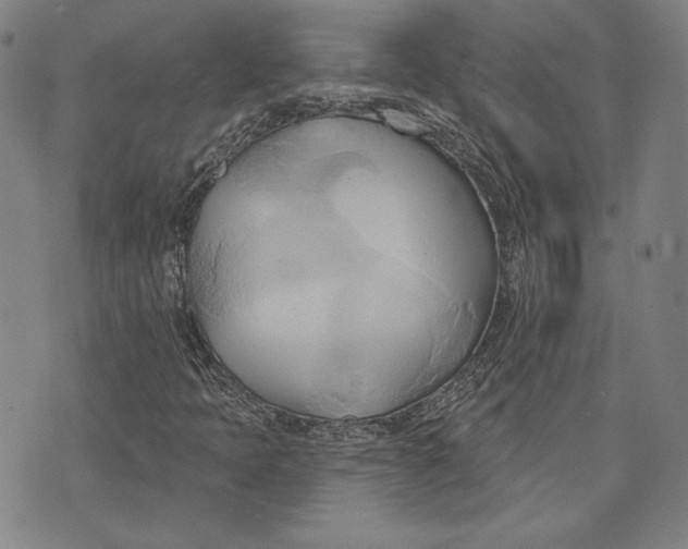 X0000076221397200610191521