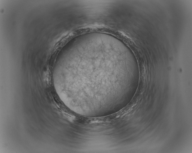 X0000076221398200610191521