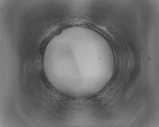 X0000076221399200610191521