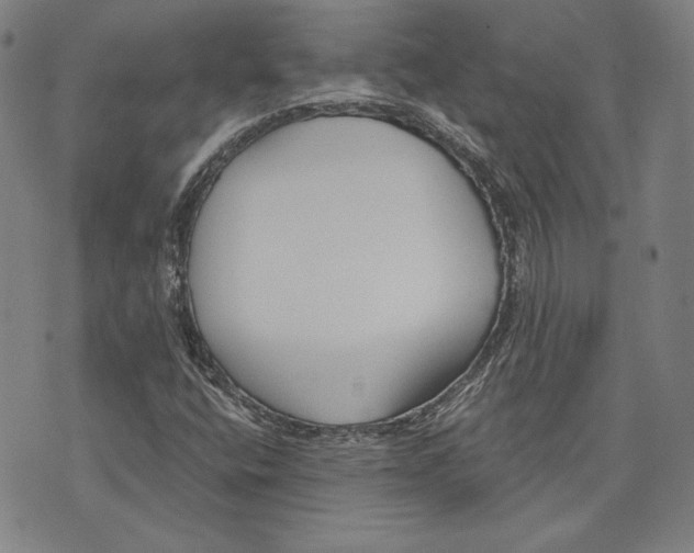 X0000076221400200610191521