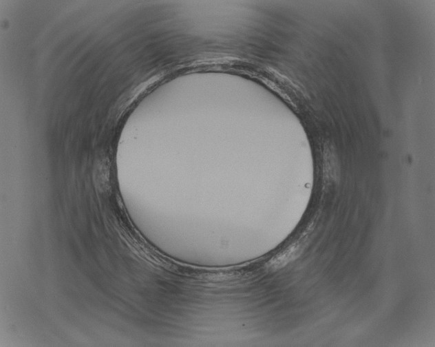 X0000076221401200610191521