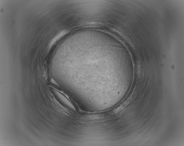 X0000076221402200610191521