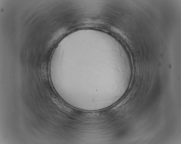 X0000076221403200610191521