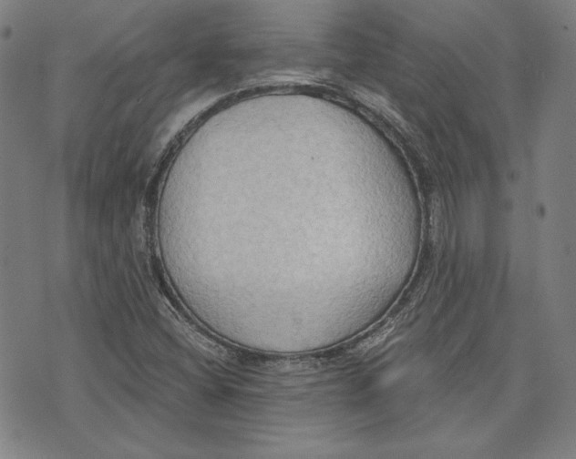 X0000076221404200610191521