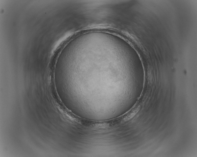 X0000076221406200610191521