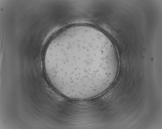 X0000076221408200610191521