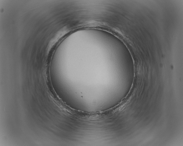 X0000076221410200610191521