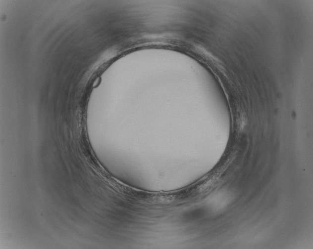 X0000076221411200610191521