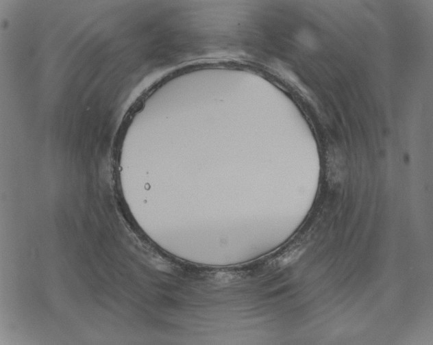 X0000076221412200610191521