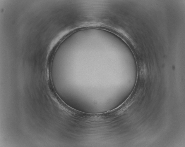 X0000076221414200610191521