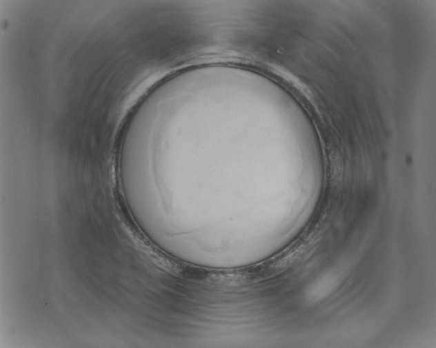 X0000076221415200610191521