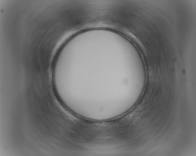 X0000076221416200610191521