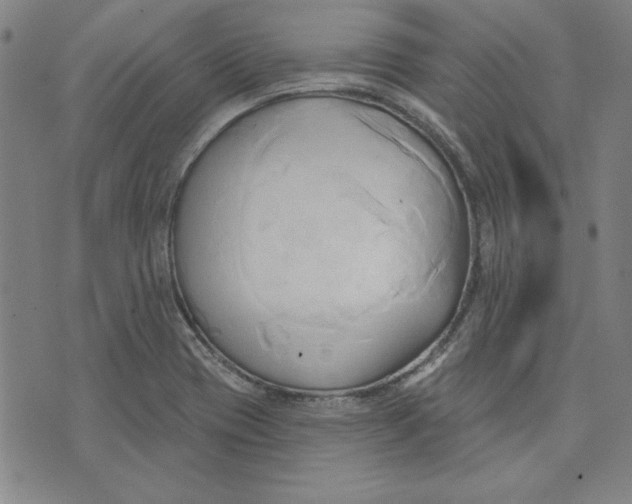 X0000076221417200610191521