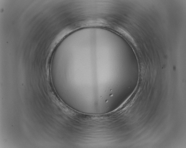 X0000076221419200610191521