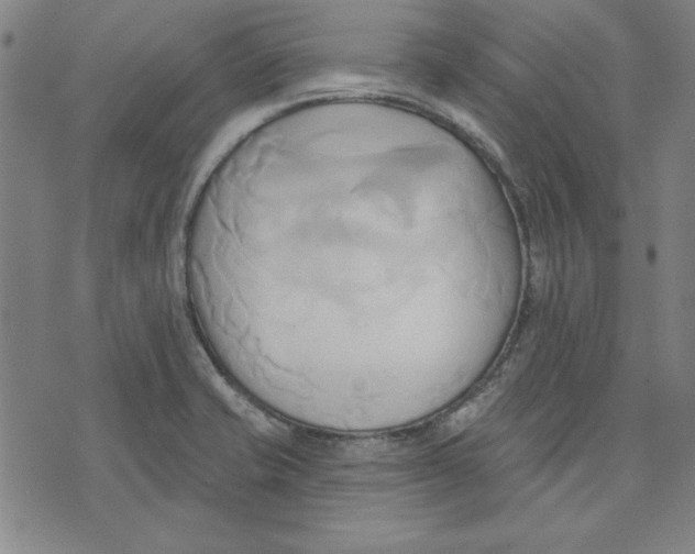 X0000076221421200610191521