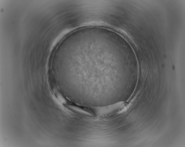 X0000076221422200610191521