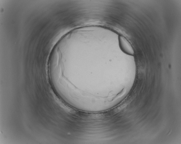 X0000076221423200610191521