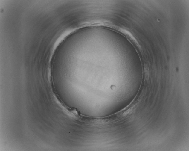 X0000076221424200610191521