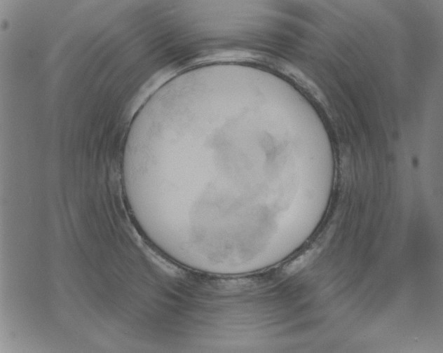 X0000076221425200610191521