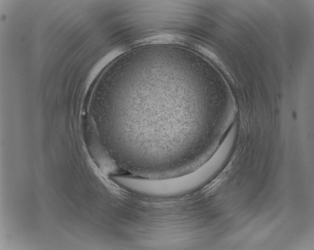 X0000076221426200610191521