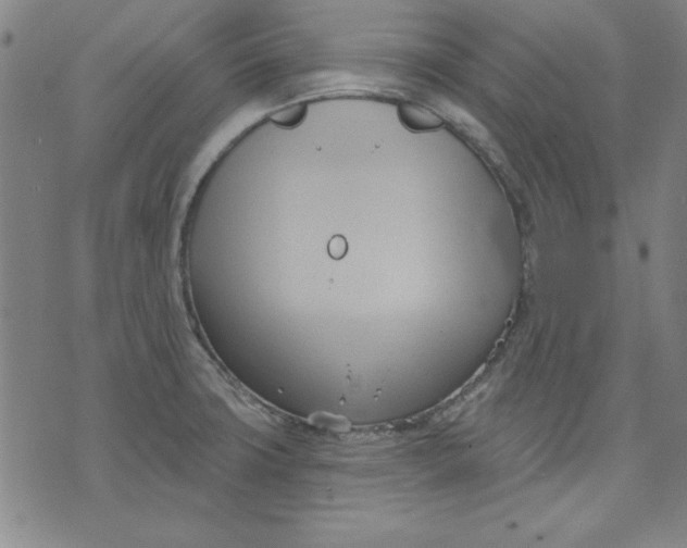 X0000076221427200610191521