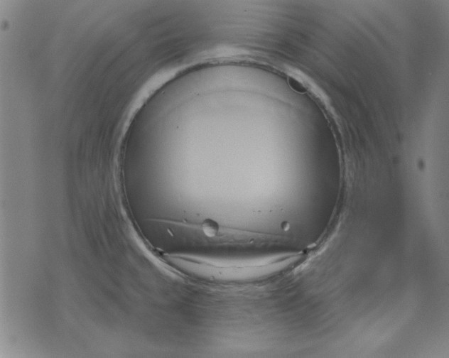 X0000076221429200610191521