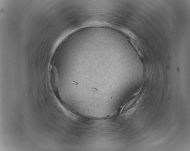 X0000076221430200610191521