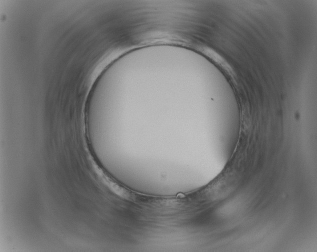 X0000076221431200610191521