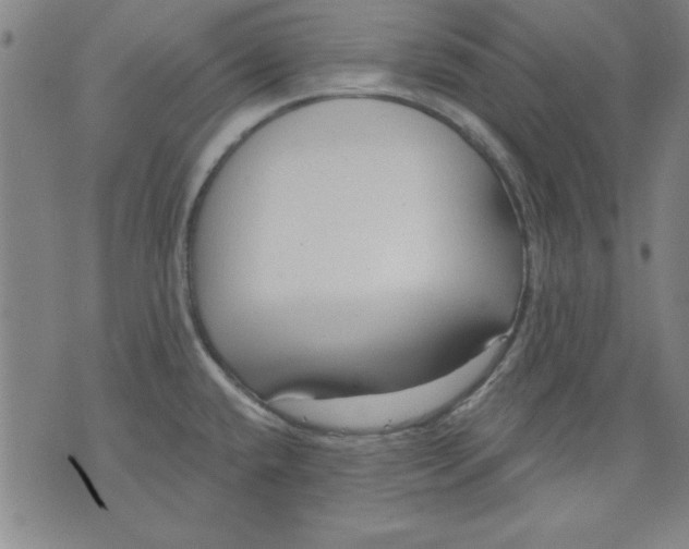 X0000076221432200610191521