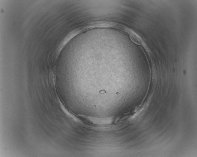 X0000076221433200610191521