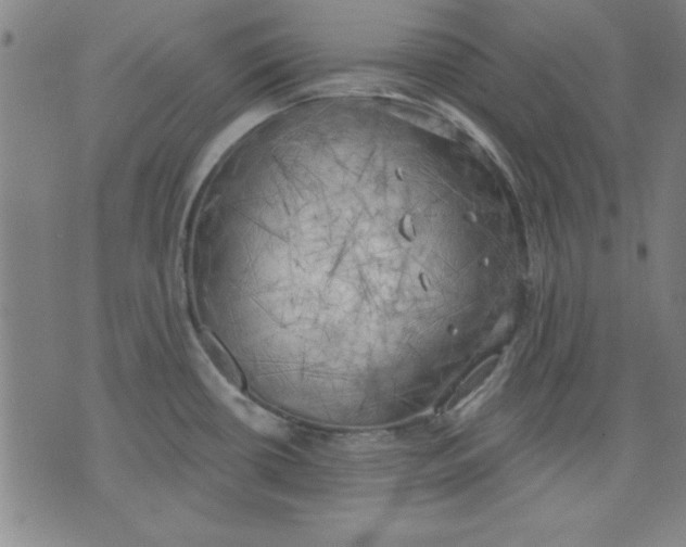 X0000076221434200610191521