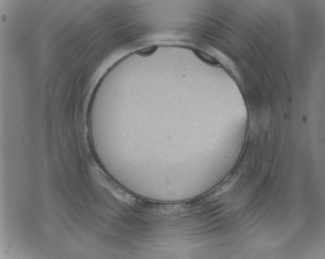 X0000076221435200610191521