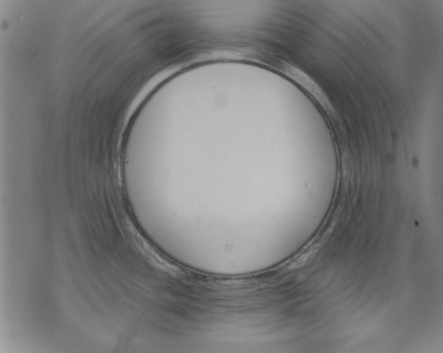 X0000076221436200610191521