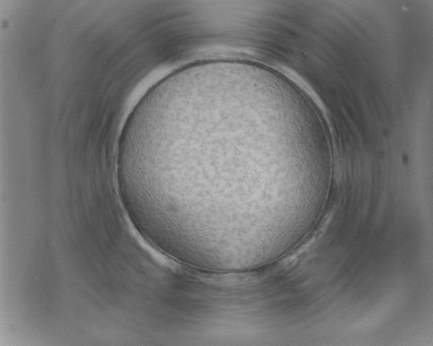 X0000076221437200610191521