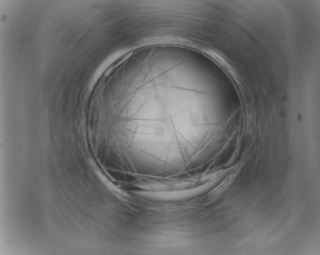 X0000076221438200610191521