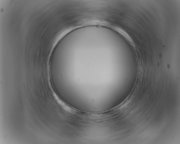 X0000076221439200610191521